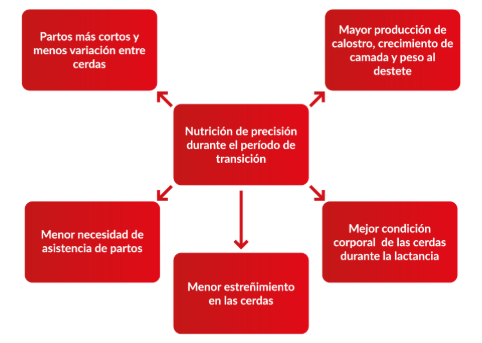 Contenido del artículo