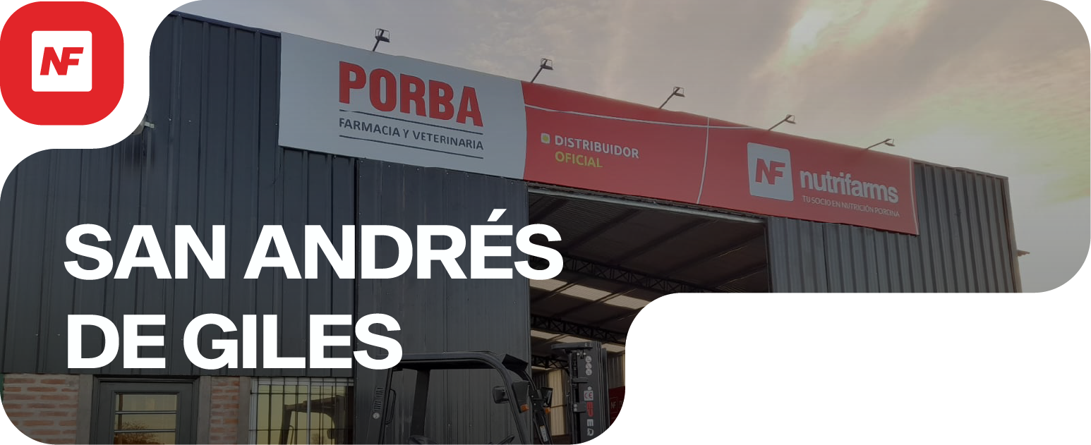 San Andrés de Giles